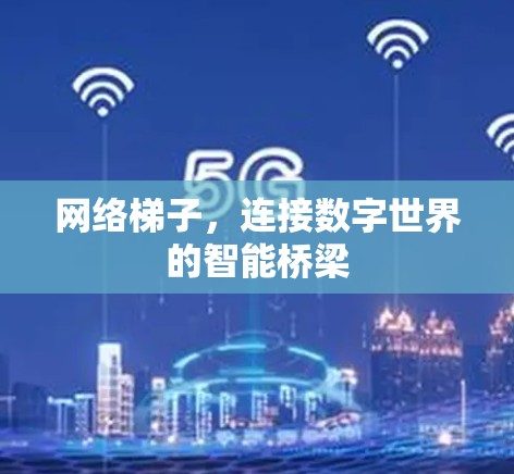 网络梯子，连接数字世界的智能桥梁