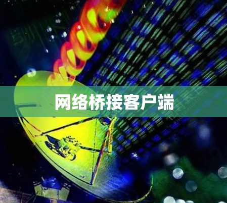 网络桥接客户端