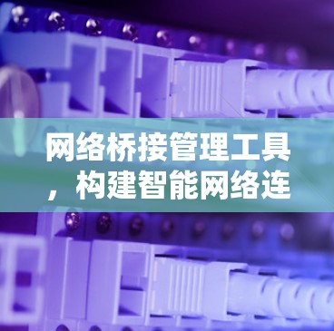 网络桥接管理工具，构建智能网络连接的基石