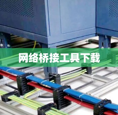 网络桥接工具下载 网络桥接工具下载
