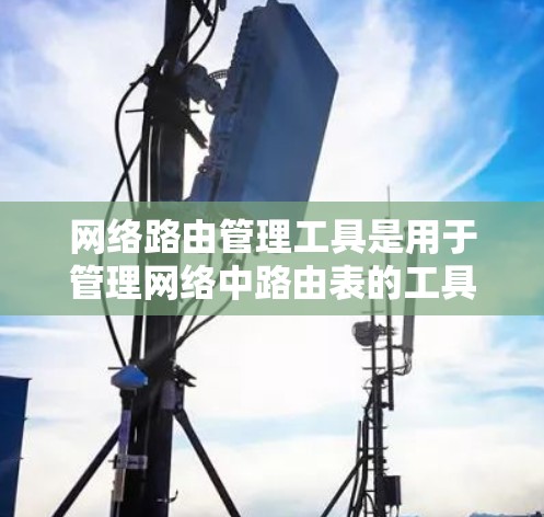 网络路由管理工具是用于管理网络中路由表的工具，帮助确保数据在不同设备之间传递正确和安全的路径。以下是使用网络路由管理工具的步骤和建议