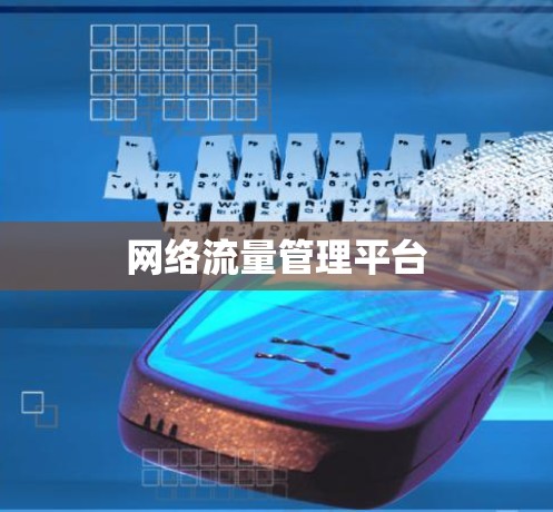 网络流量管理平台