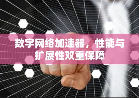 数字网络加速器，性能与扩展性双重保障