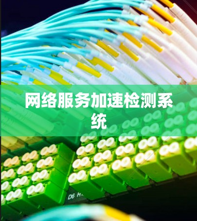 网络服务加速检测系统