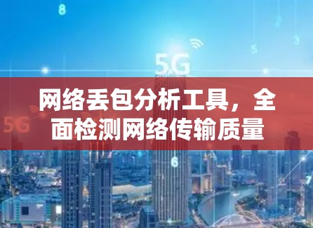 网络丢包分析工具，全面检测网络传输质量