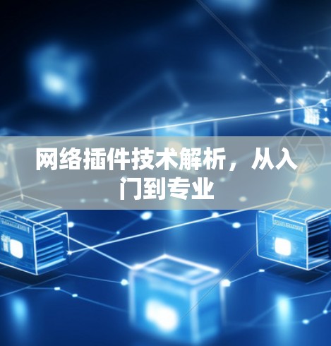 网络插件技术解析，从入门到专业