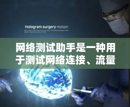 网络测试助手是一种用于测试网络连接、流量和数据传输能力的设备或软件。以下是详细的步骤和注意事项