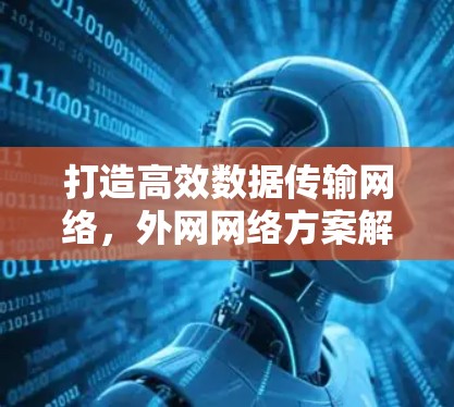 打造高效数据传输网络，外网网络方案解决方案