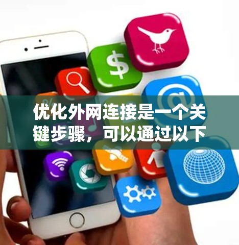 优化外网连接是一个关键步骤，可以通过以下步骤系统地进行