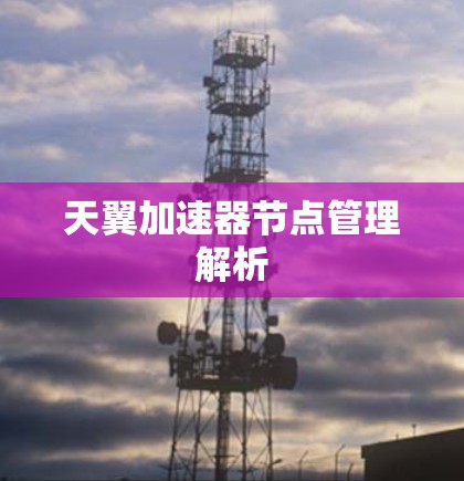 天翼加速器节点管理解析
