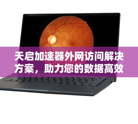 天启加速器外网访问解决方案,助力您的数据高效流动 天启加速器外网访问解决方案,助力您的数据高效流动