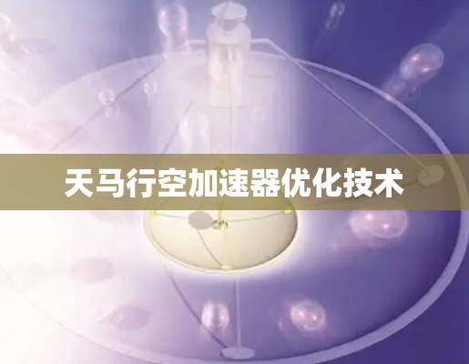 天马行空加速器优化技术