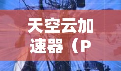 天空云加速器（Particle Accelerator）是用于研究高能粒子动力学和高能物理的大型设备，其节点测速是评估其性能的关键指标。以下是对天空云加速器节点测速的详细总结