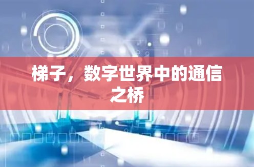 梯子，数字世界中的通信之桥