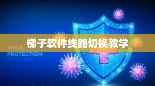 梯子软件线路切换教学
