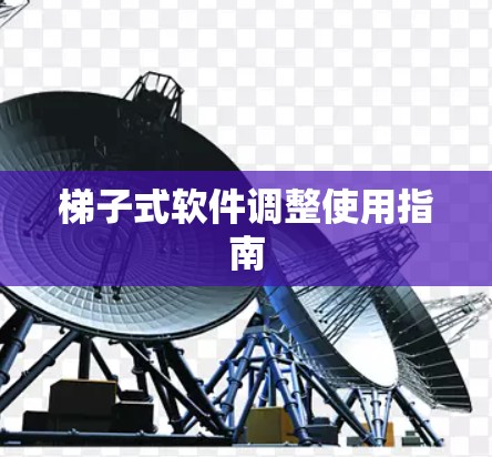 梯子式软件调整使用指南