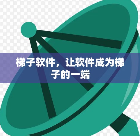 梯子软件，让软件成为梯子的一端
