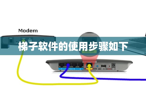梯子软件的使用步骤如下
