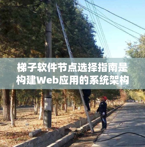 梯子软件节点选择指南是构建Web应用的系统架构中不可或缺的一部分，每个节点都有其特定的功能和作用。以下是对节点选择指南的详细指南