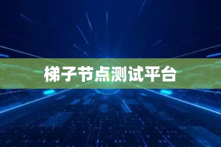 梯子节点测试平台