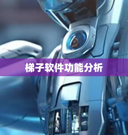 梯子软件功能分析