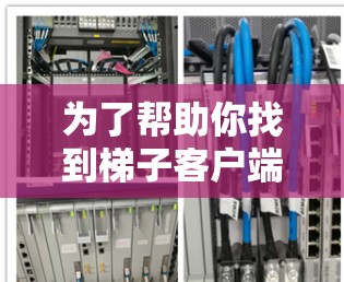 为了帮助你找到梯子客户端推荐排行，以下是一个分步骤的解决方案