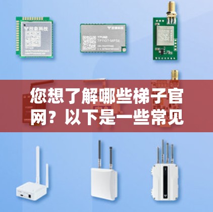 您想了解哪些梯子官网？以下是一些常见的梯子官网类型和搜索方法