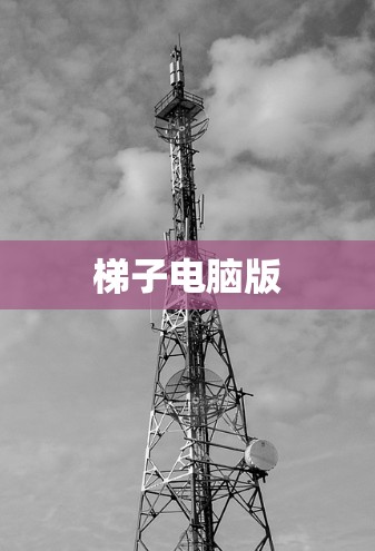 梯子电脑版