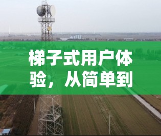 梯子式用户体验，从简单到复杂