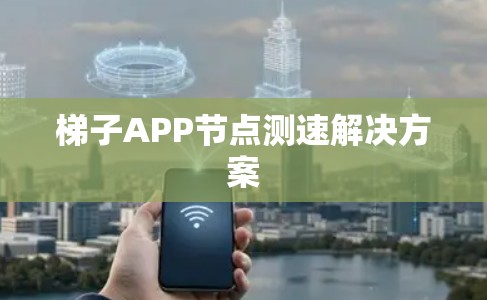 梯子APP节点测速解决方案