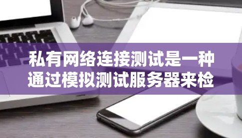私有网络连接测试是一种通过模拟测试服务器来检测和验证网络连接的可靠性和稳定性的方法。以下是对该测试过程的详细总结和建议