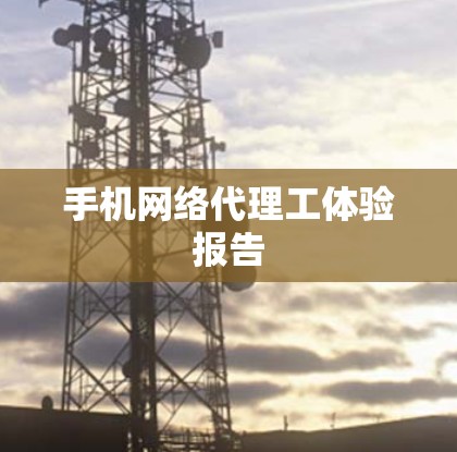 手机网络代理工体验报告