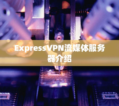 ExpressVPN流媒体服务器介绍