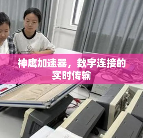 神鹰加速器,数字连接的实时传输 神鹰加速器,数字连接的实时传输