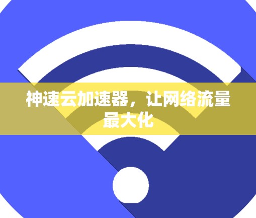 神速云加速器，让网络流量最大化