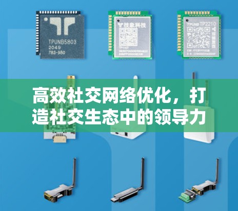 高效社交网络优化，打造社交生态中的领导力