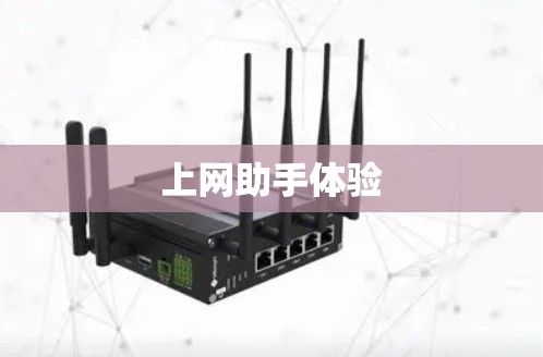 上网助手体验