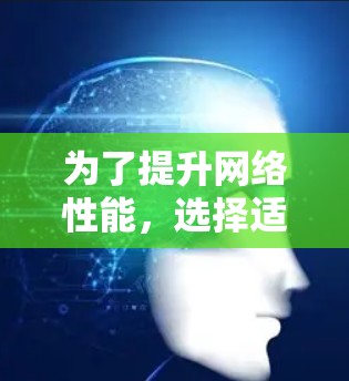 为了提升网络性能，选择适合自己的网络加速软件，可以按照以下步骤进行