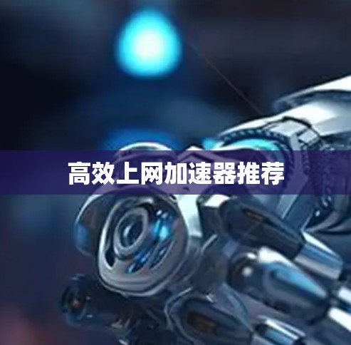 高效上网加速器推荐