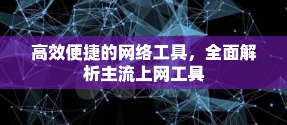 高效便捷的网络工具,全面解析主流上网工具 高效便捷的网络工具,全面解析主流上网工具