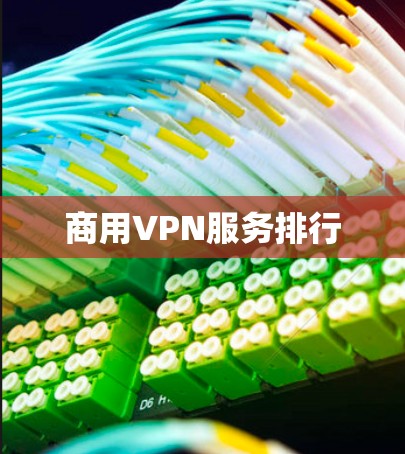商用VPN服务排行