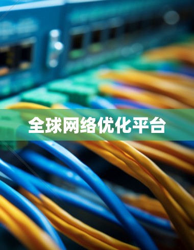 全球网络优化平台