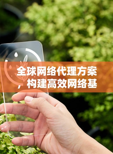 全球网络代理方案，构建高效网络基础设施