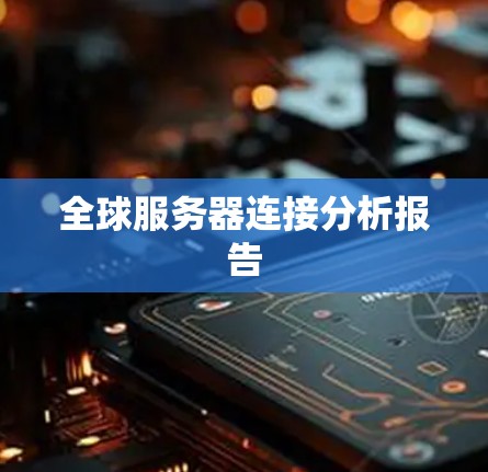 全球服务器连接分析报告