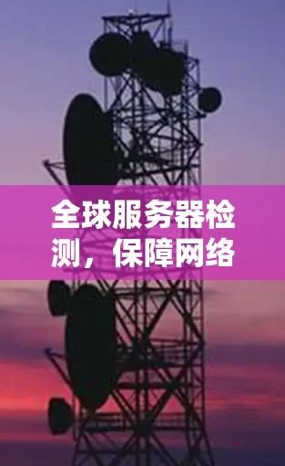 全球服务器检测，保障网络安全的关键措施