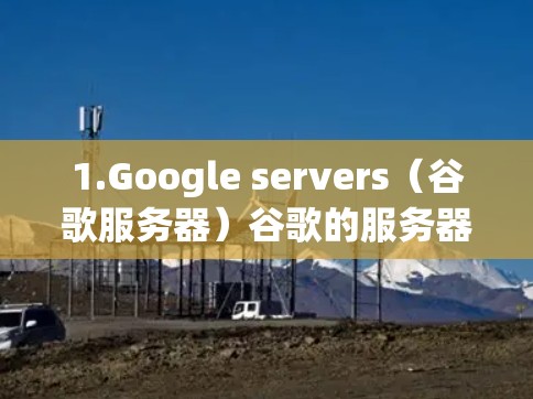 1.Google servers（谷歌服务器）谷歌的服务器通常在服务器测速排行中表现优异，尤其是在处理大规模应用时