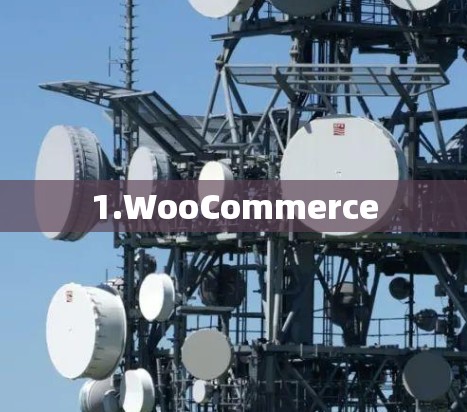 1.WooCommerce 1.WooCommerce