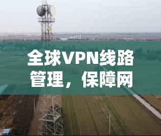 全球VPN线路管理，保障网络安全的未来保障