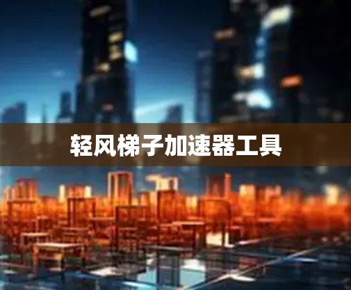 轻风梯子加速器工具