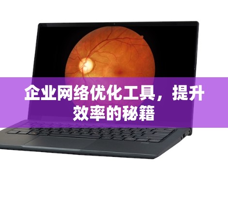 企业网络优化工具，提升效率的秘籍